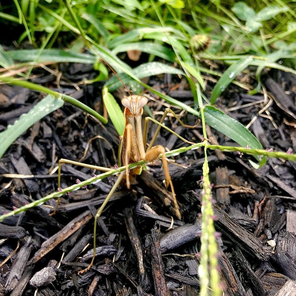 Meet your Posher, Francisco